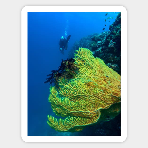 scuba diver and yellow sea fan Sticker by likbatonboot